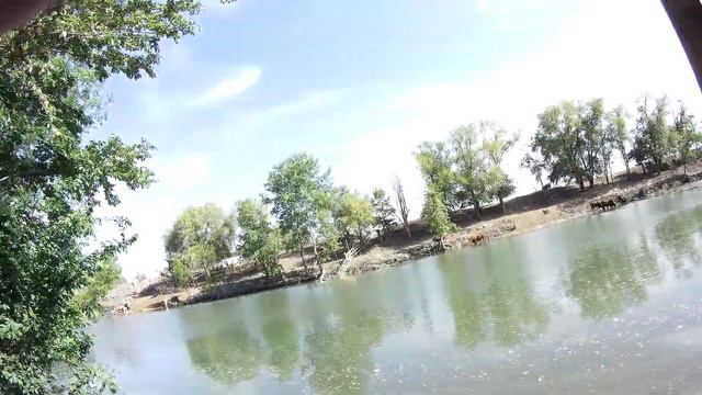 Ловля рыбы на выходные! Рыбалка в разных условиях! смотреть онлайн