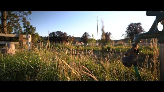 White Clover Farm смотреть онлайн
