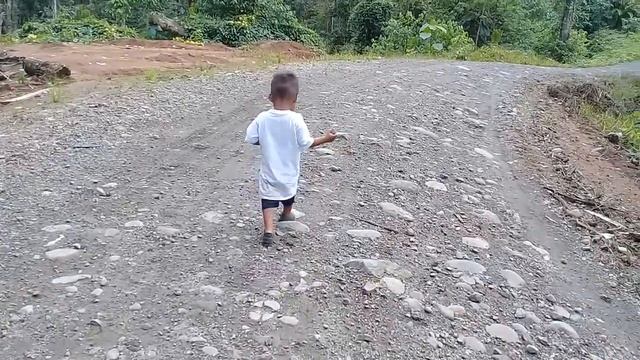 Roldan jandel añapa añapa aqui estas caminando solo. смотреть онлайн