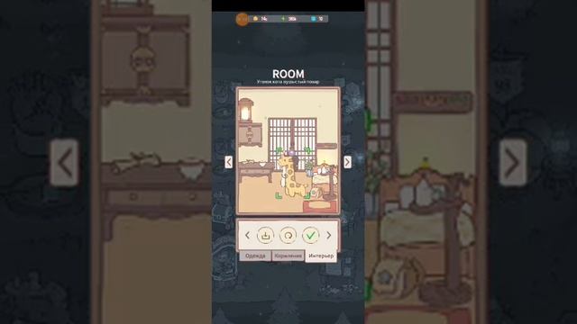 КОТИКИ И СУП