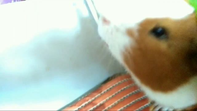 Учим Делать с Страстью