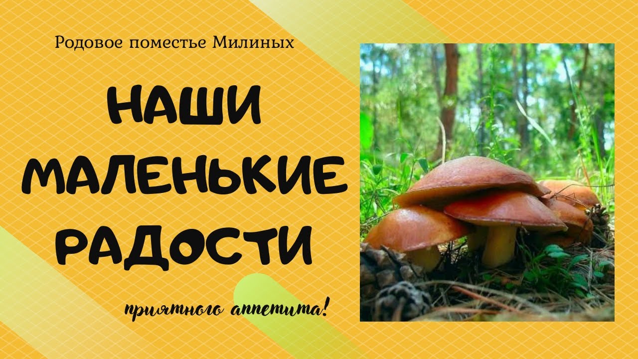 Наши маленькие радости с Родового поместья)