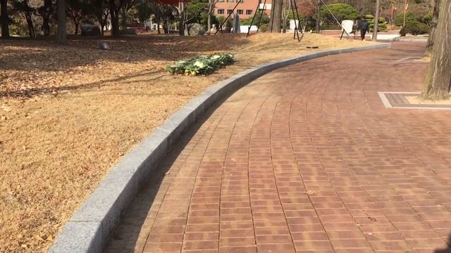 Кампус университета в Корее, город Тэгу/Keimyung university, South Korea, Daegu смотреть онлайн
