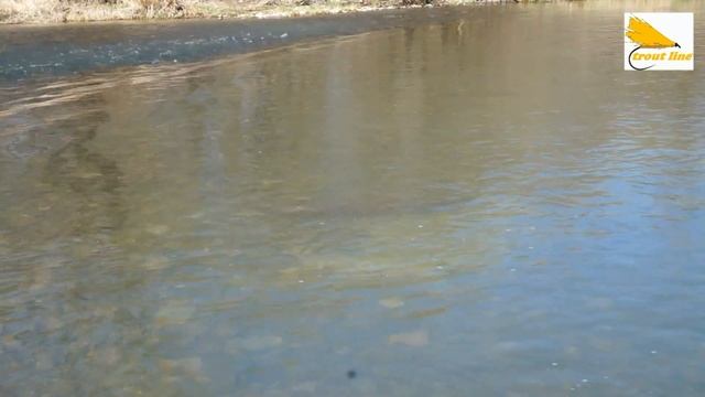 Taimen known as Hucho Hucho - in Poland on River San смотреть онлайн