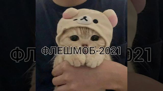 Флешмоб-музыка 2021 смотреть онлайн