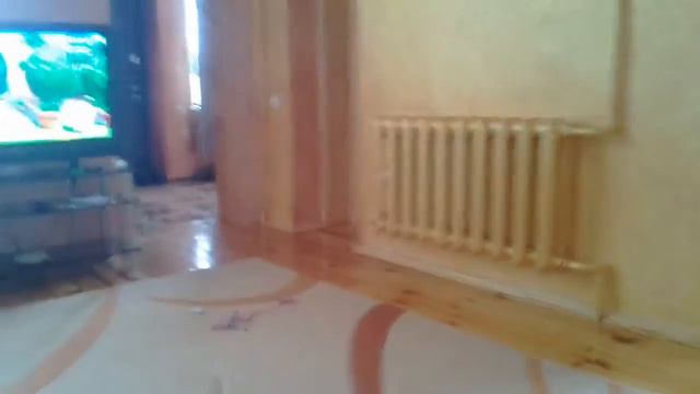 Визов египетского кота не пришол смотреть онлайн