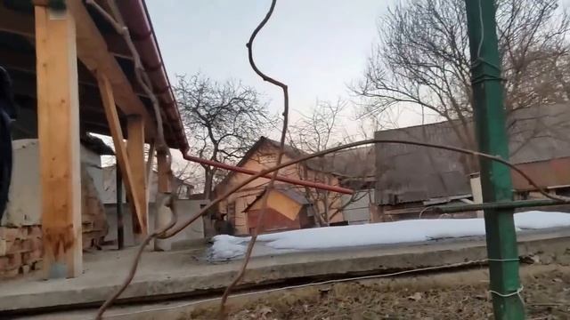 Формування (обрізка) кущів ківі різного віку смотреть онлайн