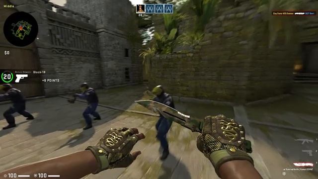 Budget Combo: Hydra Gloves | Rattler And Survival Knife | Forest DDPAT