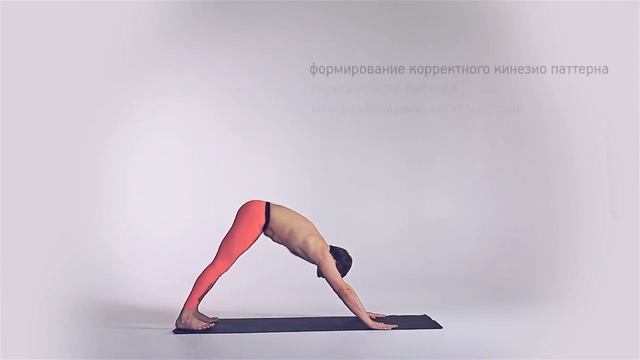 Сандхаана йоґа смотреть онлайн