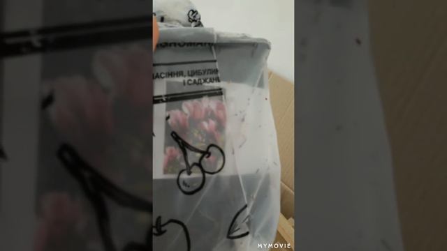 Unboxing заказ саженцев от Agromarket (магнолия / роза / черешня) смотреть онлайн