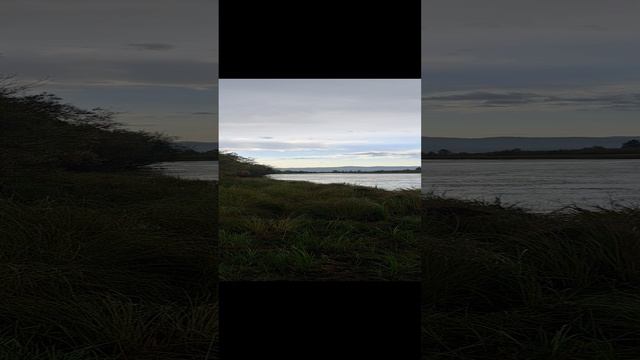 Любительская охота