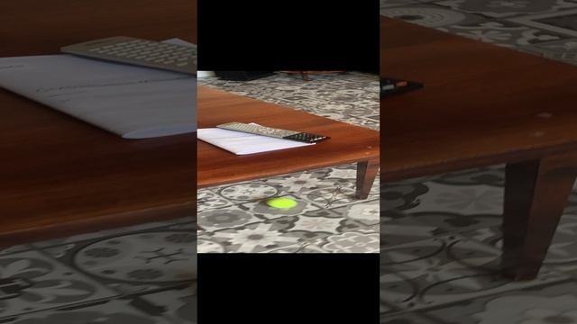 Вася и Салли басяболл