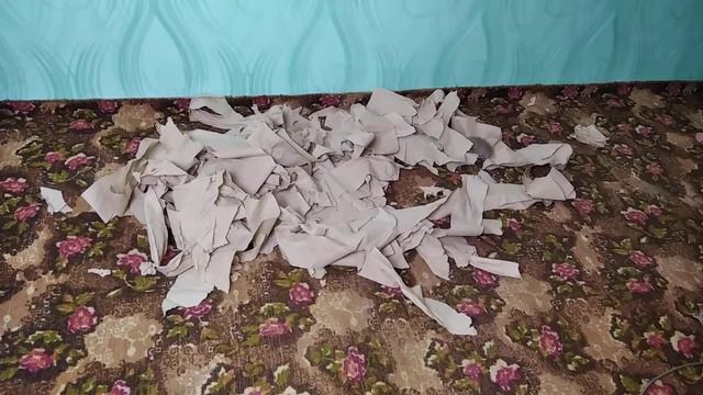 The Mummy Hamster. Хомяк мумия из древнего Египта. Что он задумал? Мумия в хомиленде.