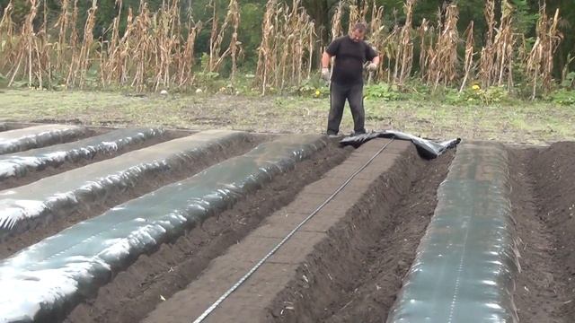 Делаем бугры под клубнику смотреть онлайн