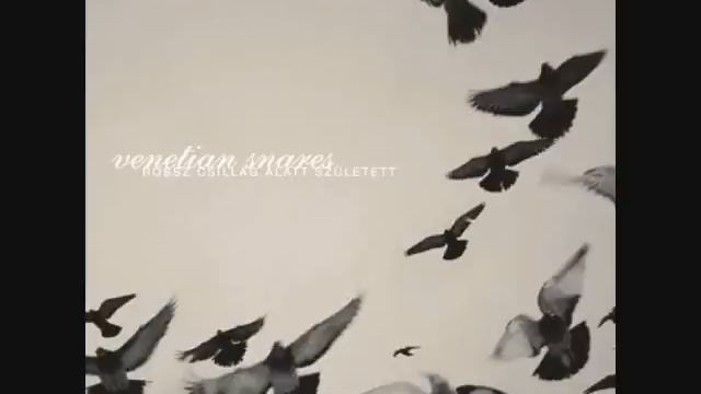 Venetian Snares - Hajnal смотреть онлайн