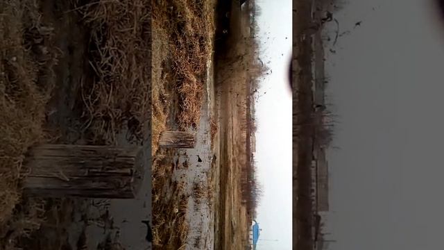 #Скоростной вездеход(1) смотреть онлайн