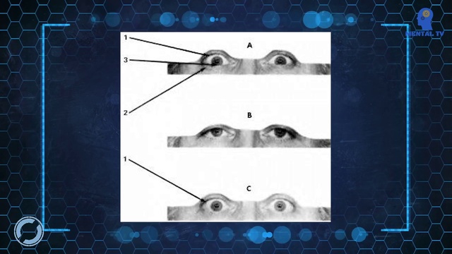 Как проявляется страх_ (Мимика и эмоции)[720p] смотреть онлайн