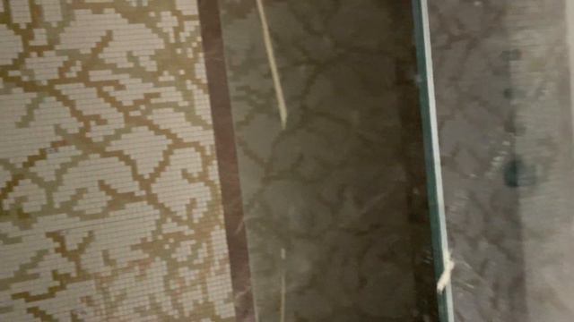 СПА - отель, набережная реки Крестовки, Санкт-Петербург смотреть онлайн