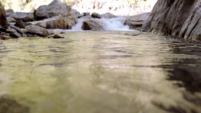 Брат с благословения мамы занял квартиру моей бабушки, к которой не имеет никакого отношения. - Он смотреть онлайн