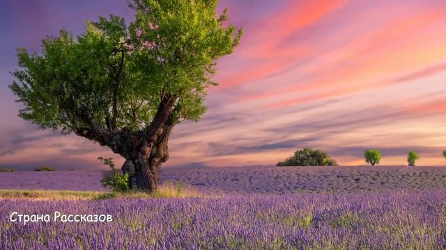 Богатая свекровь унизила нищенку невесту, но от её ответа... смотреть онлайн