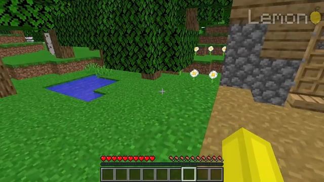 I FOUND THE RAREST IRON GOLEM in Minecraft ! WHICH GOLEM NEXT ??? смотреть онлайн