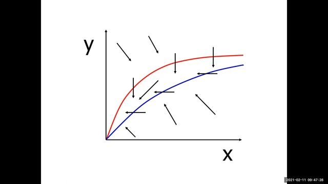 Sys Bio 2021 Lecture 3 смотреть онлайн