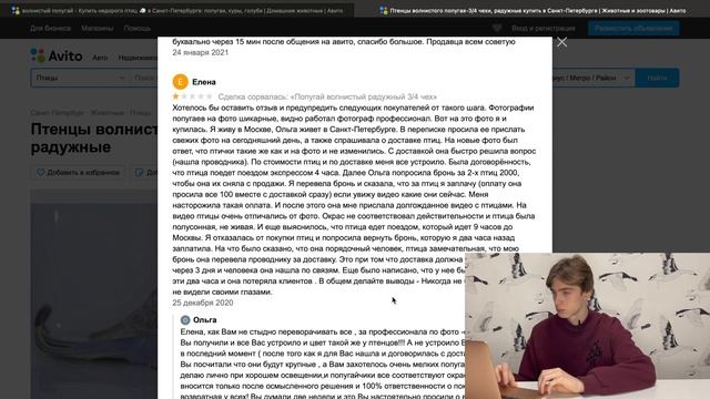 Как выбрать попугая на авито? Где купить попугая? смотреть онлайн