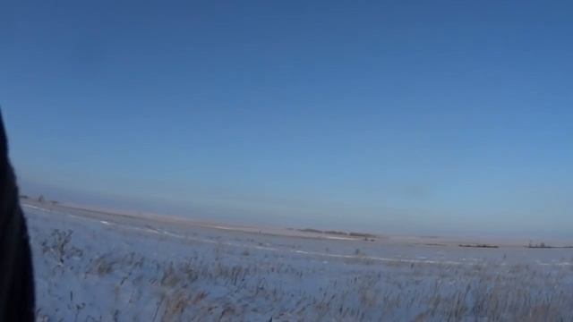Охота на зайцев - «В новом году по-старому» смотреть онлайн