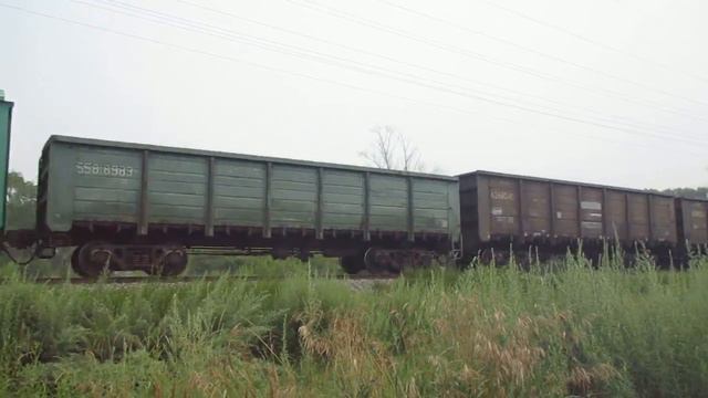Тепловоз 2М62-0701 со сборным грузовым поездом смотреть онлайн