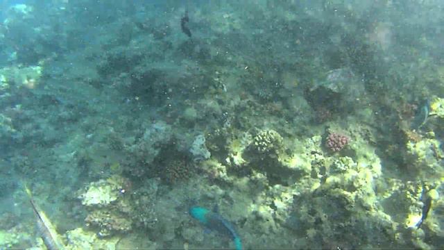 Красное Море смотреть онлайн