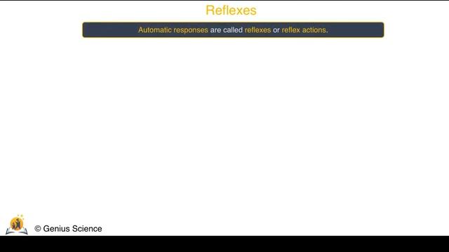 AQA 9-1 GCSE Combined Science Biology. The Human Nervous System. смотреть онлайн