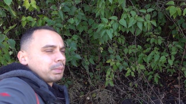 КАК ЛЕГКО И ПРОСТО ВЫРАСТИТЬ ГРИБЫ В СОБСТВЕННОМ САДУ смотреть онлайн