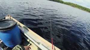 Ловля окуня летном на зимнюю блесну