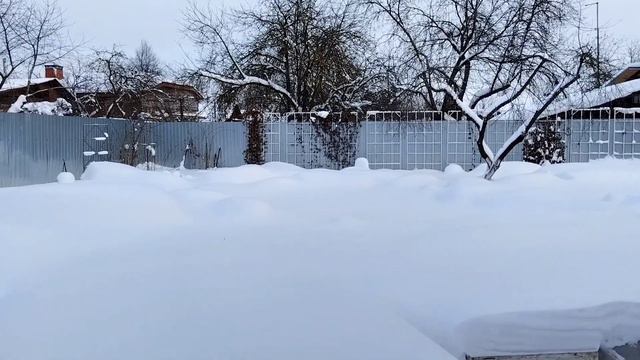Зимние новости ❄️.Эстафета🎿.Мои поздравления 🤗🌲☃️ смотреть онлайн