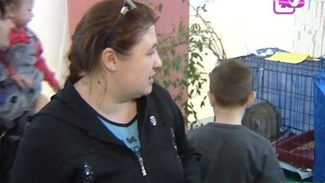 Творительный падеж. 30.01.2014 смотреть онлайн