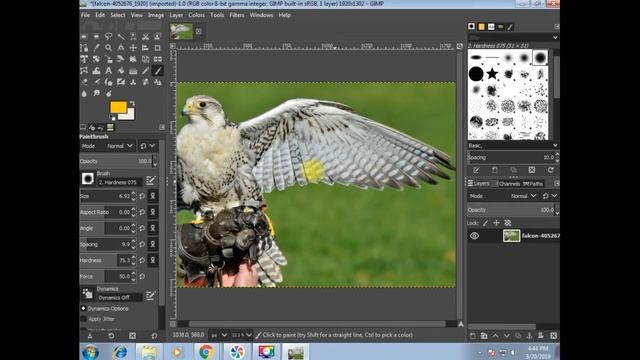 The Best Free Photoshop Alternative Software Online Or Offline Solution смотреть онлайн