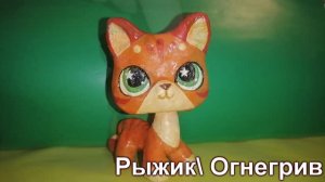 LPS; Коты воители Стань диким! Персонажи