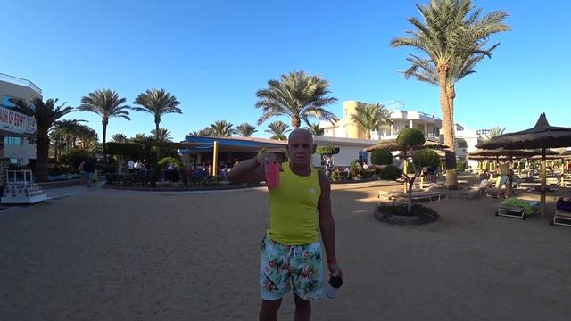 Отель Sea Gull Resort 4+ Хургада Зимой . Обзор отеля . смотреть онлайн