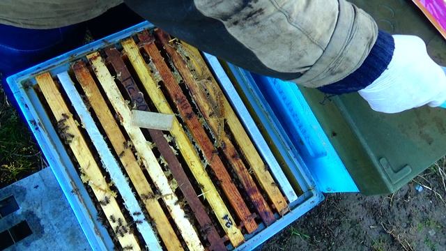 Осенние работы на моей пасеке смотреть онлайн