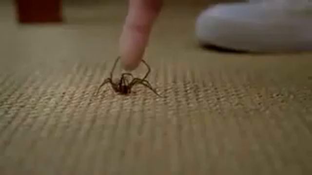 Ахаха) Смешно) смотреть онлайн