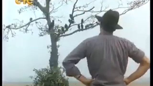 Договор с воронами. Челентано смотреть онлайн