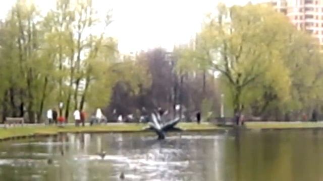 Городские зарисовки. Осень 2010. В Воронцовском парке. смотреть онлайн