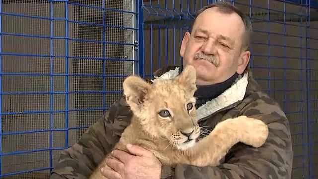 Применение закона о жестоком обращении с животными смотреть онлайн