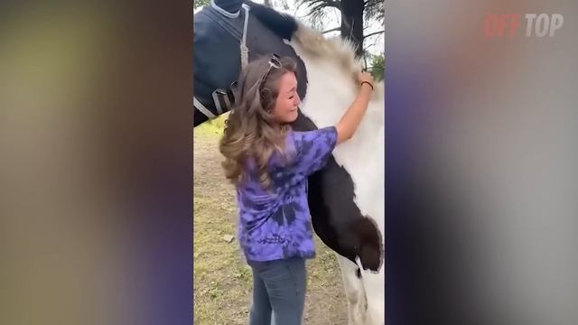 Попробуй НЕ ЗАПЛАКАТЬ! ? Топ 30 Моментов Встречи Животных с Хозяевами После Долгой Разлуки №10 смотреть онлайн