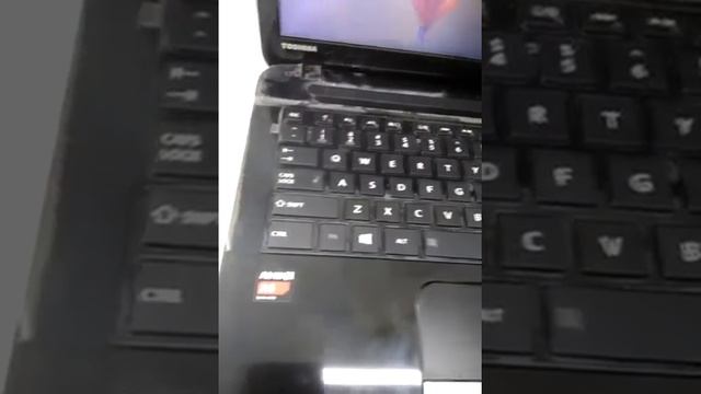 105220200430002 LAPTOP TOSHIBA SATELLITE C40D A AMD A4 5000 M 2 GB HD 500 GB смотреть онлайн