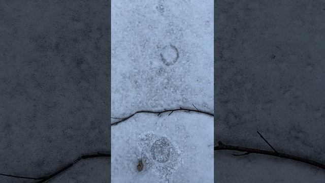 Странные следы на снегу