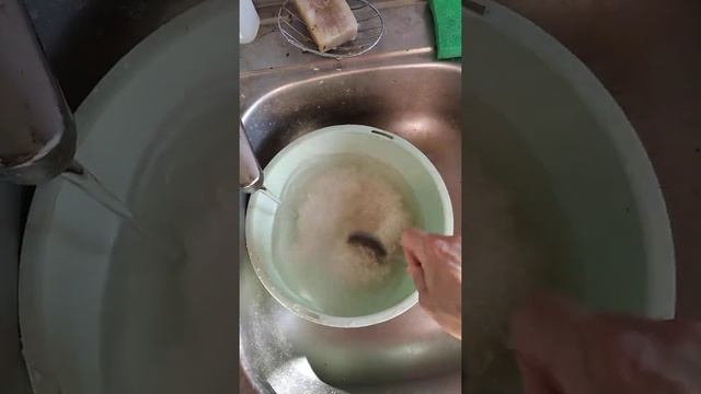 15.08.2022 Наш ответ ЕЦХ / Варю плов с утра / хе хе смотреть онлайн