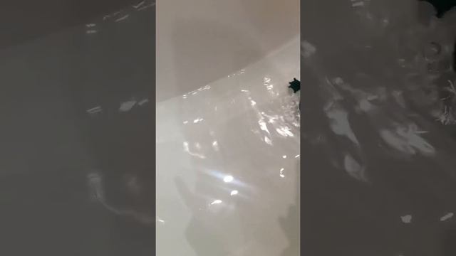 Плавающая лягушка смотреть онлайн