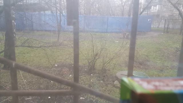 Зимняя муха смотреть онлайн