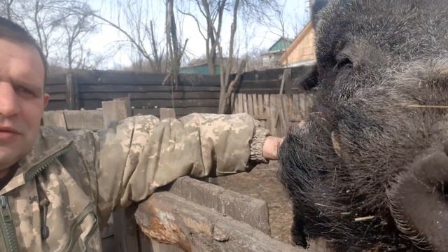 ОГРОМНЫЙ СЕКАЧ. ПРИВЕТ ДРУЗЬЯМ ??? смотреть онлайн